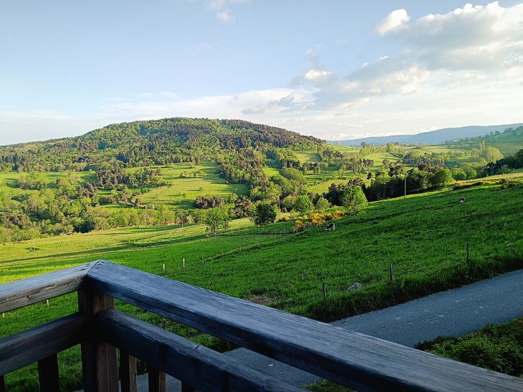 Vue panoramique sur les prés et les bois du Forez depuis la terrasse